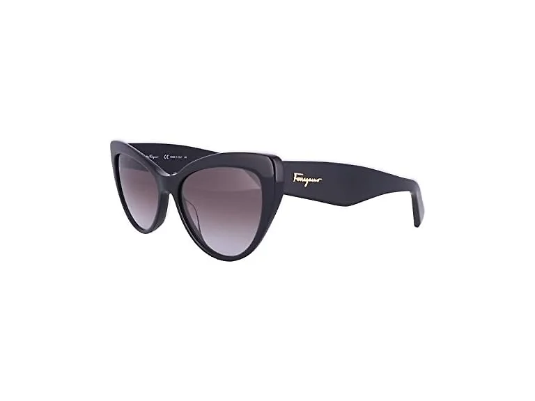 Ferragamo Unisex SF930SL Sunglasses Black