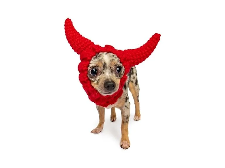 Zoo Snoods Red Devil Dog Costume