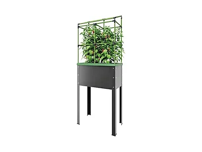 BioGreen Raised Garden Bed with Trellis