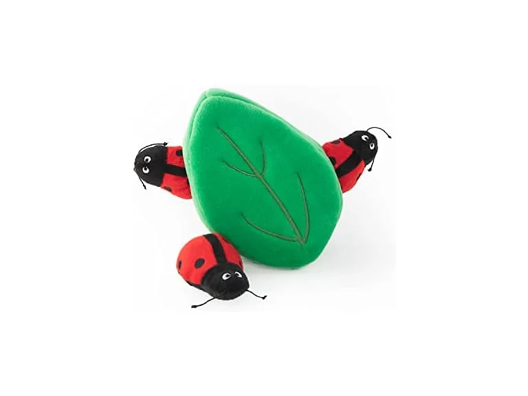 Burrow Ladybugs Leaf