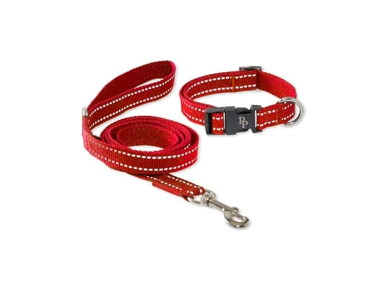 Pet Passion Max II - 2-Pack Reflective Leash