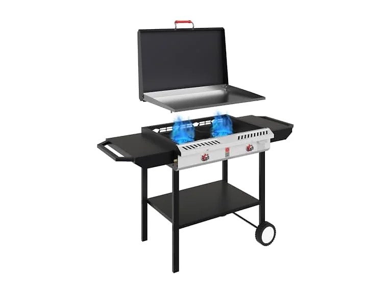 GasOne 2-Burner Propane Stove