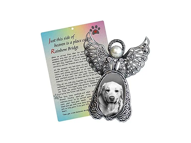 Angel Wings Pet Memorial Gift