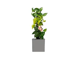 Tevatower Mini Smart Self-Watering Indoor Garden System, Slate Gray | 3-Tier 4-Inch Planter Pot for Herbs, Flowers and Indoor Plants, Compact Smart Planter for Home Kitchen Office