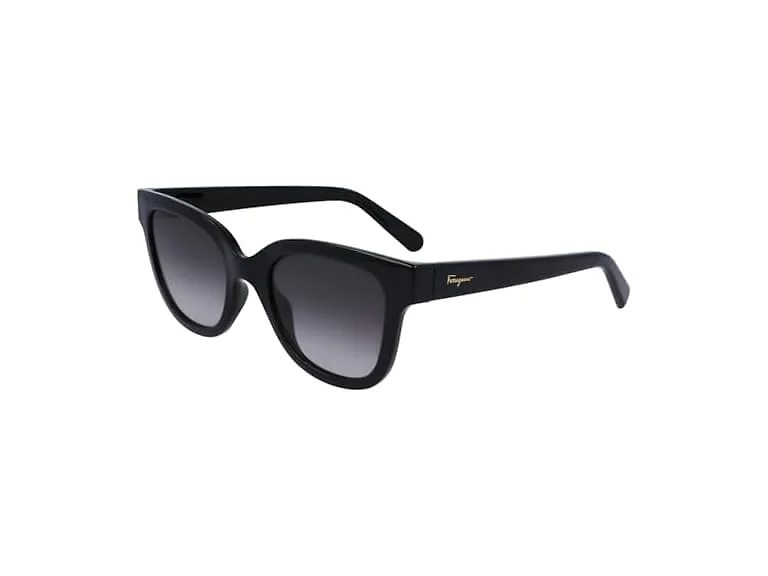 Ferragamo Unisex SF1066S Sunglasses Black