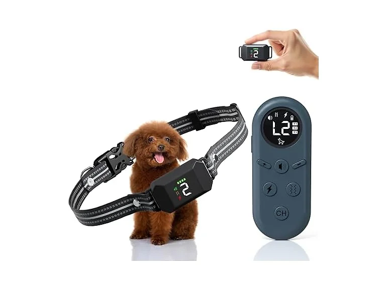 Small Shock Collar for Small & Medium Dogs 5