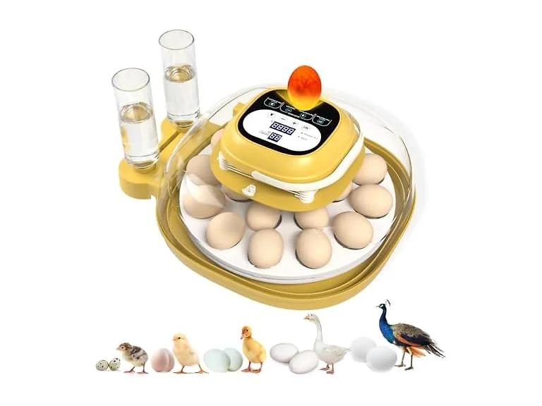 Egg Incubators For Hatching Eggs