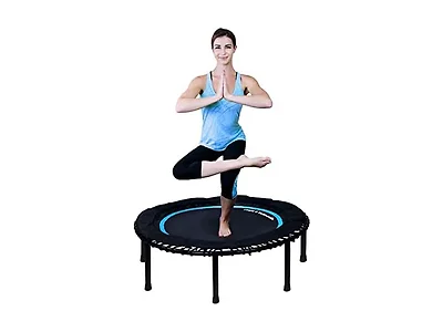 Leaps & Rebounds Bungee Rebounder V2