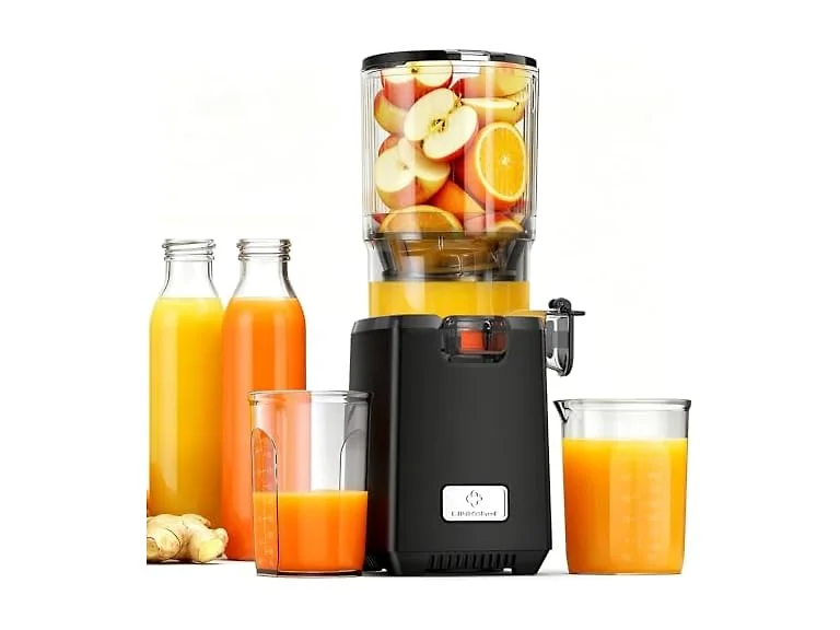Cold Press Juicer – 250W Juicer