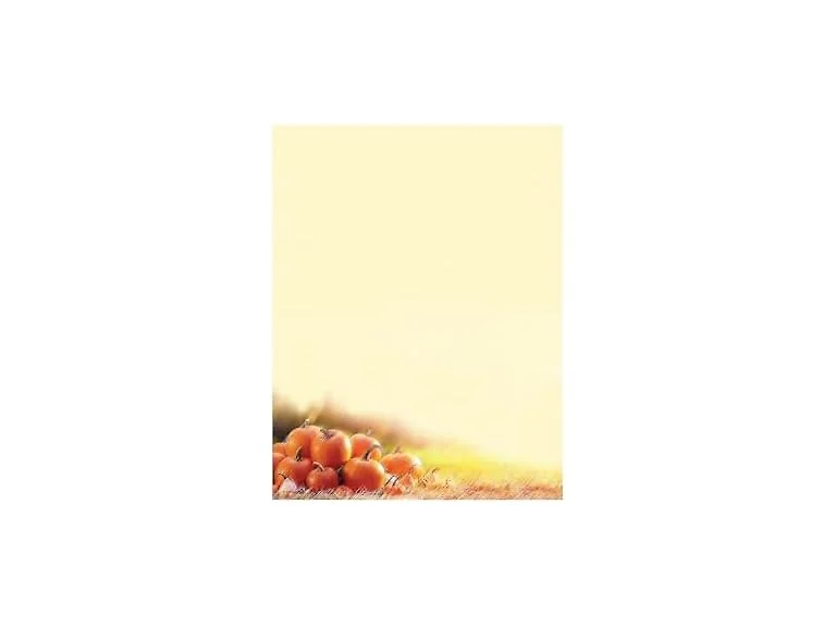 Great Papers! Glistening Pumpkins Letterhead, 8.5" x 11", 80 Count (2019087)