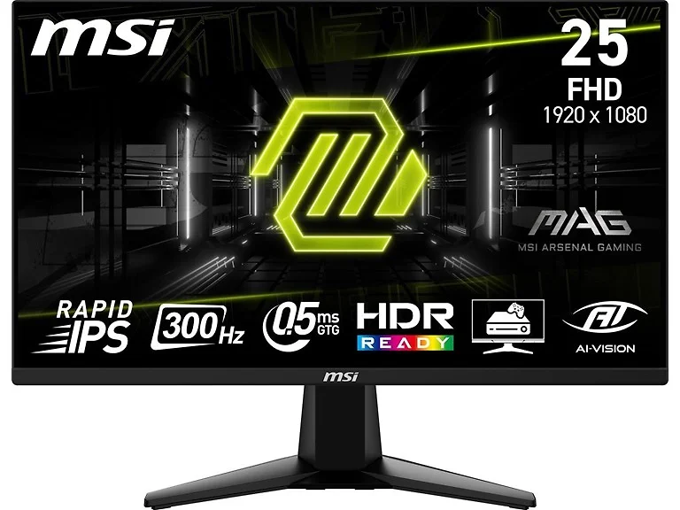 MSI 25" FHD Gaming Monitor | MAG 255XF