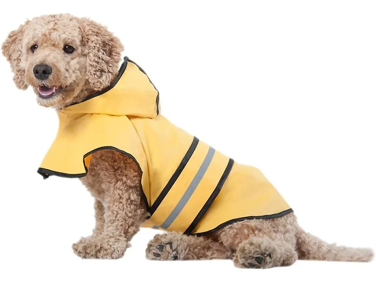 SPOT Rainy Days Slicker - Yellow Dog Rain Jac