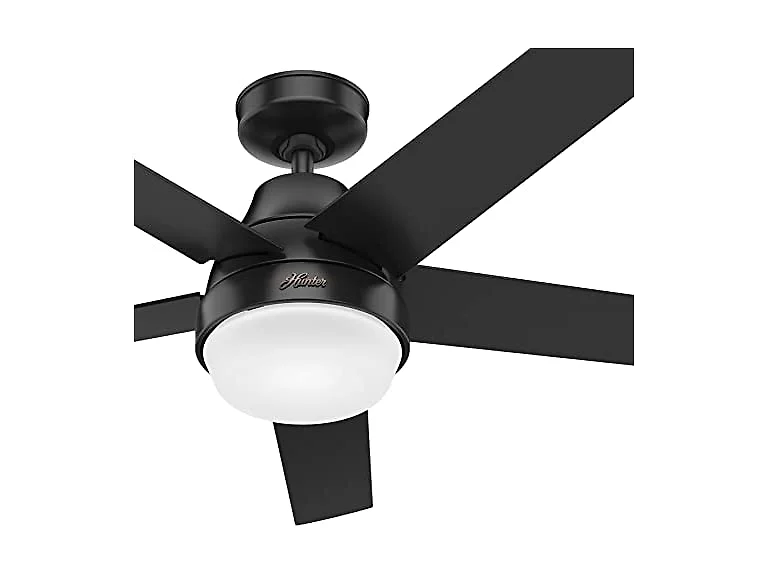 Hunter Fan 52" Light & Remote, 5-Blade