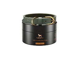 NOAH & PAW CR-LE-GR-L L NOAH & PAW XL Dog Collar Gre