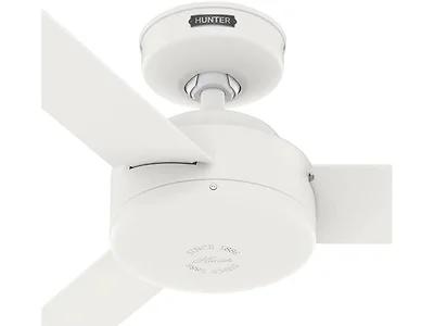 Hunter Fan 44" Indoor Fan, 3 Blades (Open Box)