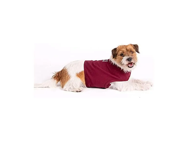 Anti-Stress Suit for Dogs. 95% Cotton Relaxi