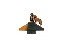 NOAH & PAW ST-STA-LE-GR-5 NOAH & PAW Dog Stairs Green