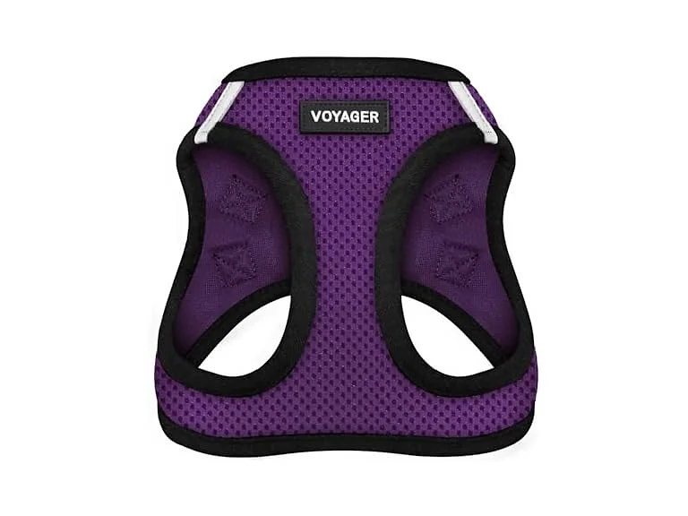 Best Pet Supplies All Weather Mesh/Plush, Harness Purple, M