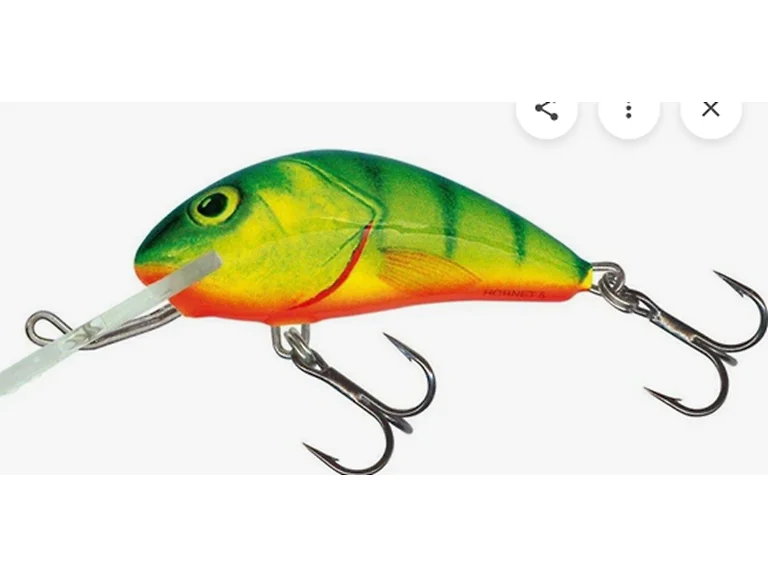 Strike King QRZ002 Rattlin Executor SDR 050 Hot Perch