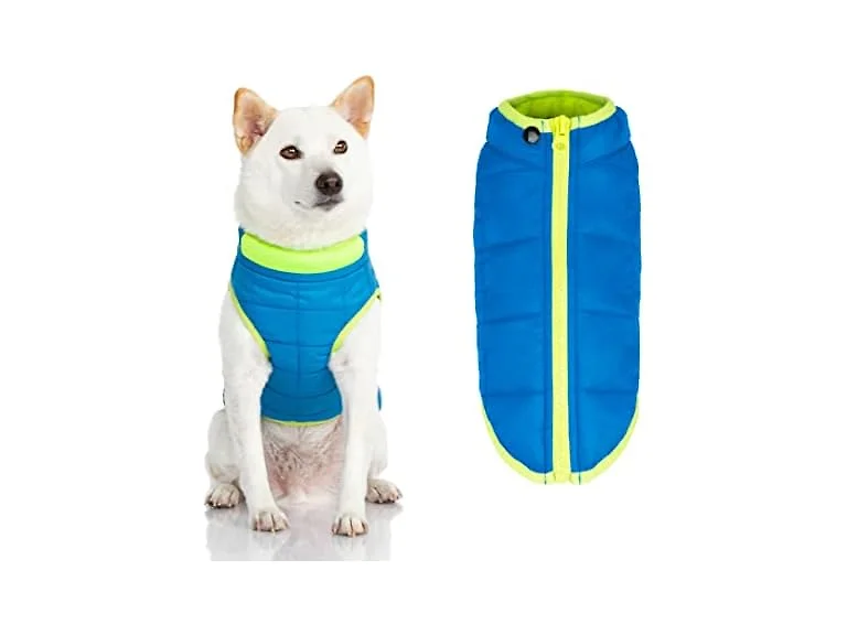 Gooby Comfort Jacket, Turquoise, X-Large