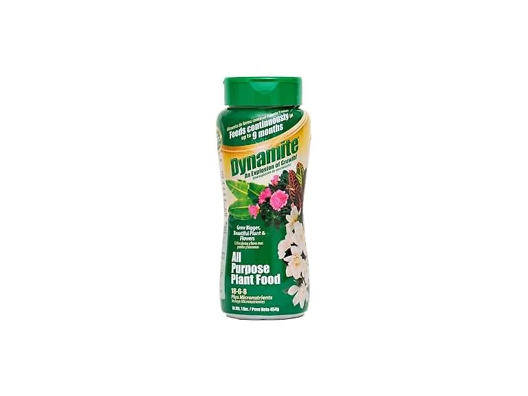 Dynamite All Purpose Plant Food 1-Pound