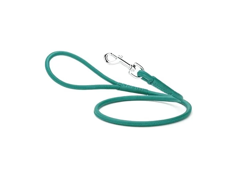 Dogline Rolled Leather Dog Leash - for Small