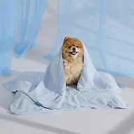 Bedsure Breathable Lightweight Cooling Blanket for Small Dogs, Q-MAX>0.4