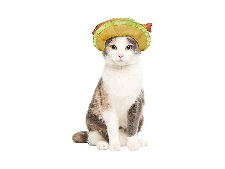Fish Taco Headpiece Dog and Cat Accessory Ho