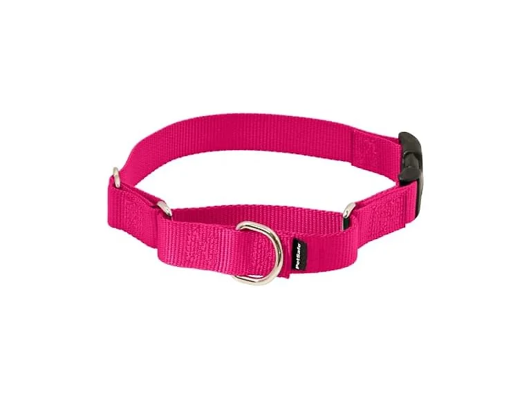PetSafe Martingale Quick-Snap Dog Collar, Raspberry Large