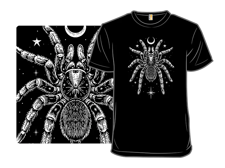 Nocturnal Tarantula