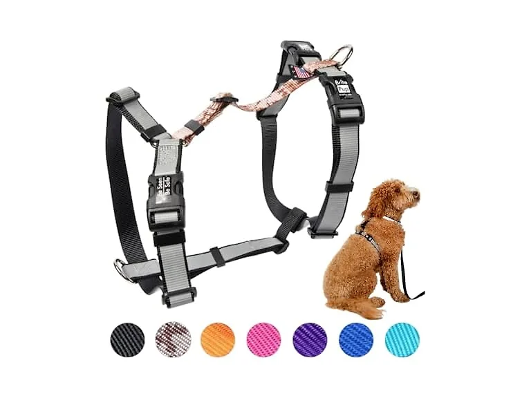 No Pull Harness with Fully Customizable Fitm