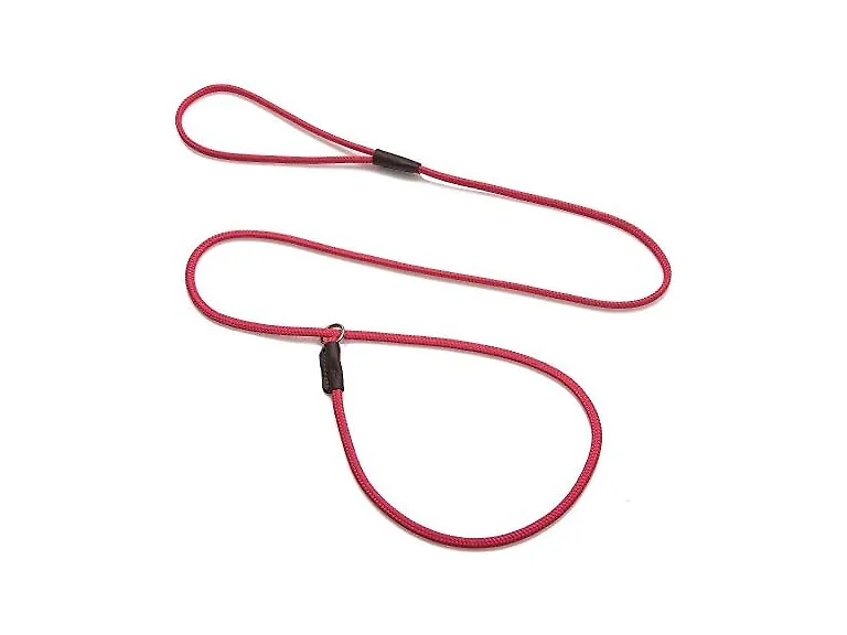 Mendota Pet Dog Show Slip Leash