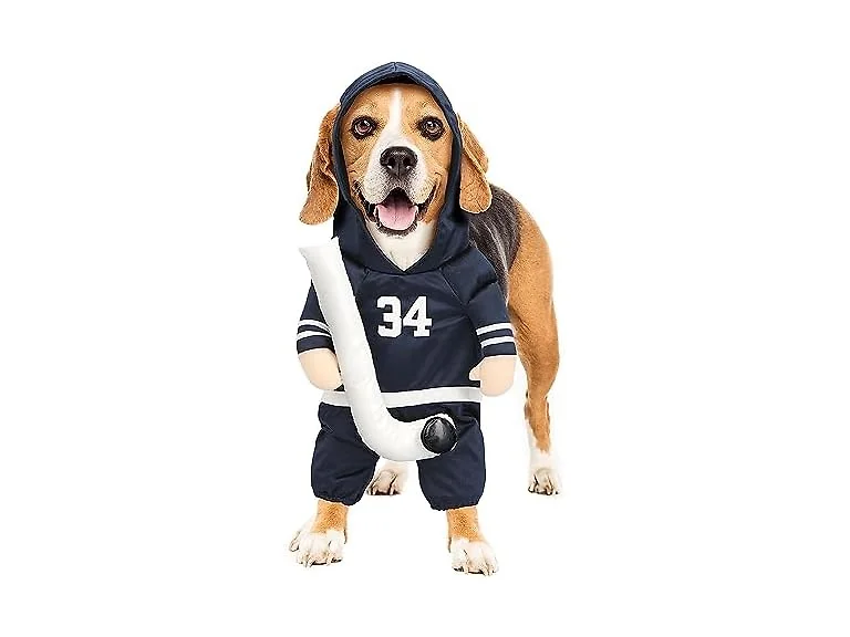 Show and Tail The Stanley Dog Costume for Ha