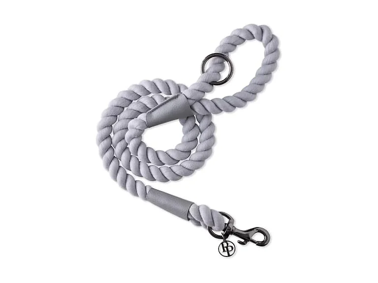 Pet Passion Rowan Dog Training Leash, 4 ft, Gray, One Size