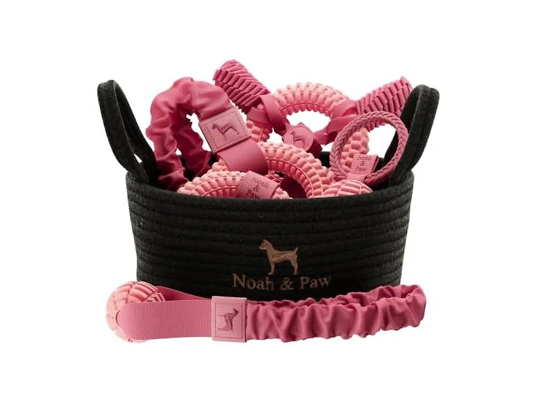 NOAH & PAW Luxury Dog Toy Gift Basket- Pink Rubber