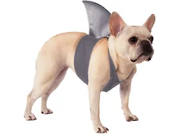 Rubies Shark Fin Pet Costume for Dogs or Cats, S/M