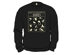 How To Identify A Bird