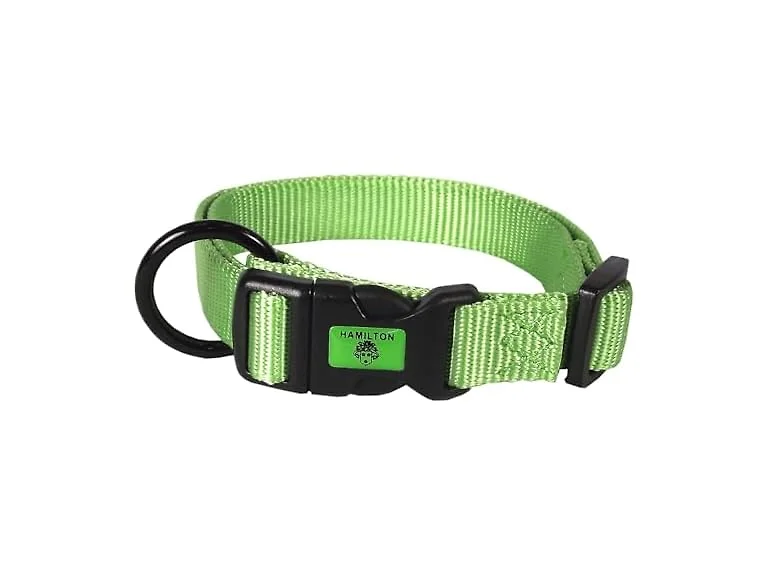 Hamilton Adjustable Nylon Dog Collar, Medium, Green