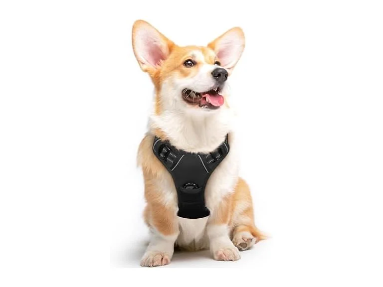 Pet Vest Harness with 2 Leash Clips, Adjusta
