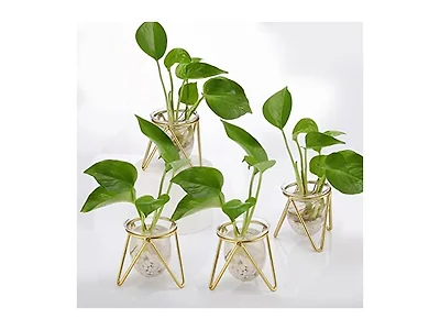 4 Pcs Plant Terrarium with Metal Stand