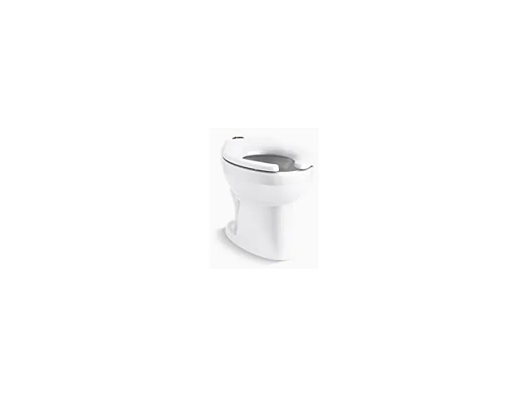 Kohler 96053-0 Wellcomme flushometer bowl, White