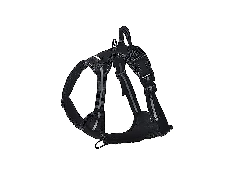 Amazon Basics No-Pull Dog Harness, Soft Padded