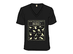 How To Identify A Bird