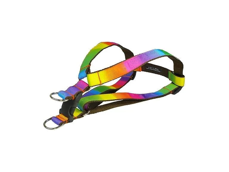 Medium Rainbow Dog Harness: 3/4" Wide, Adjus