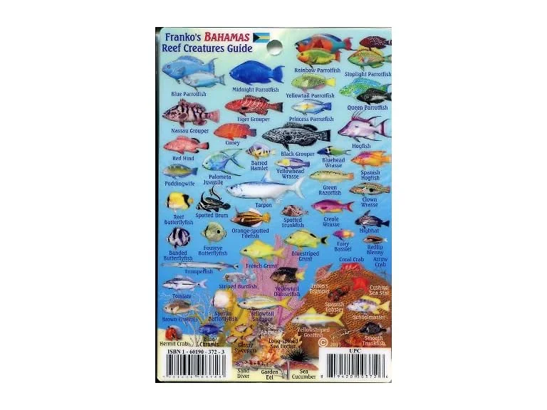 Mini Bahama Islands Id Card with Island Map 4 in by 6 in