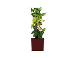 Tevatower Mini Smart Self-Watering Indoor Garden System, Sangria Red | 3-Tier 4-Inch Planter Pot for Herbs, Flowers and Indoor Plants, Compact Smart Planter for Home Kitchen Office