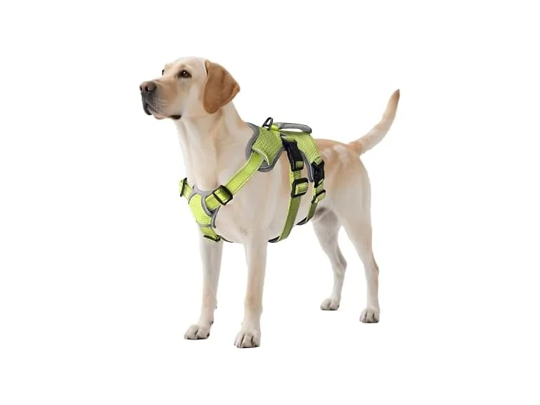 No Escape Dog Harness, Escape Proof Harness,