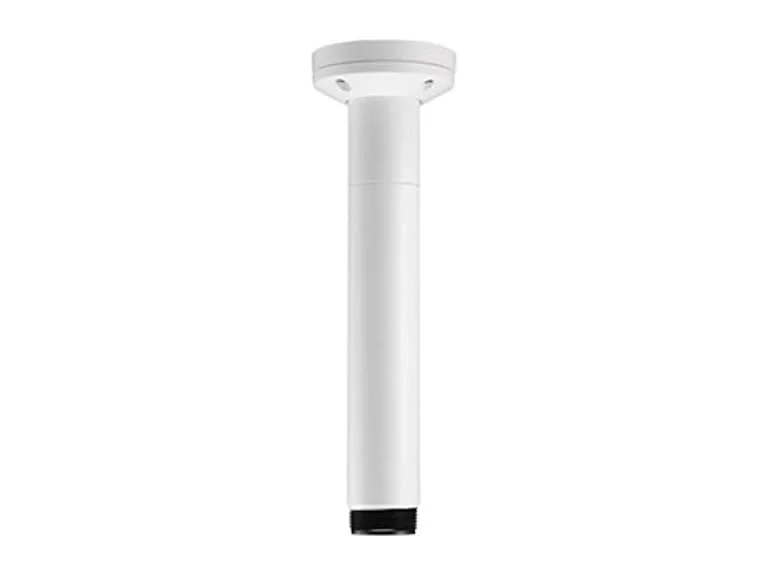 Pendant Pipe Mount 12In 31cm