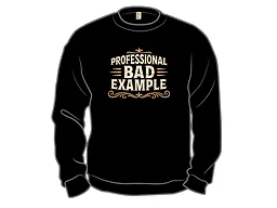 Professional Bad Example