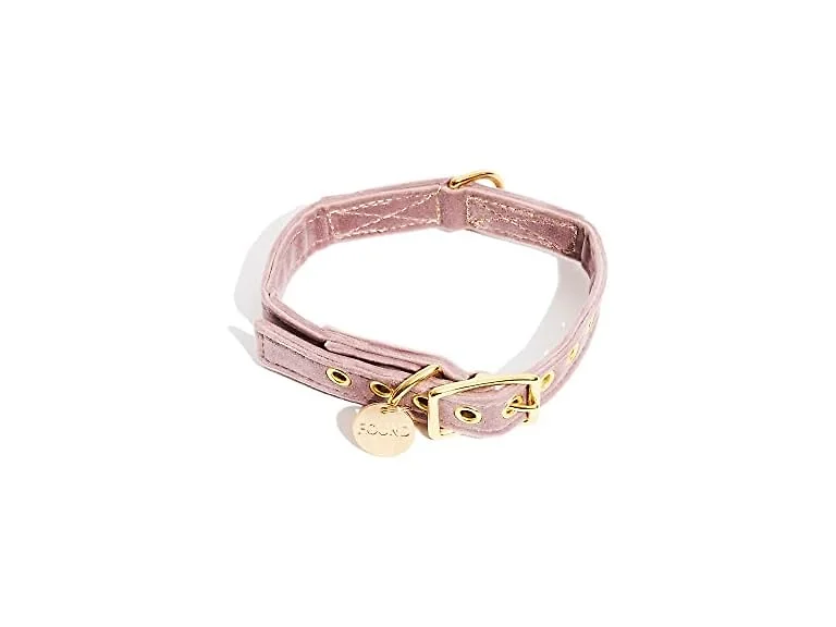 Found My Animal Durable Puppy Collar